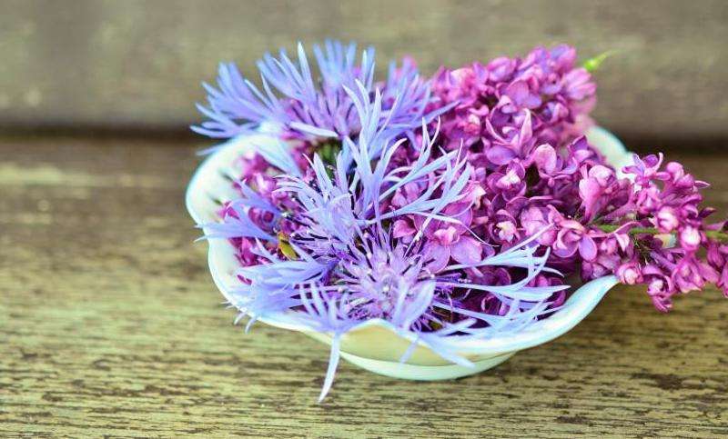 Instagram和Facebook哪个拥有更多用户