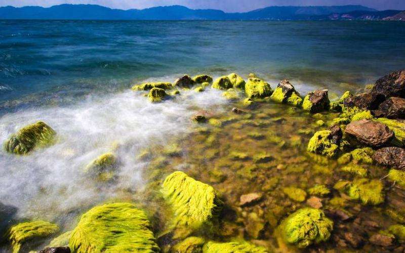 比较Facebook和微信之间的差异