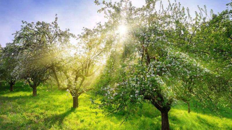 分析Facebook用户的复活率