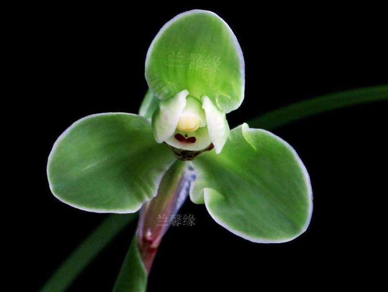 发送邮件给Facebook但未收到回复的处理方法