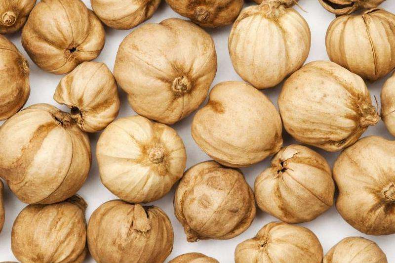 了解Facebook群组的规定和使用准则